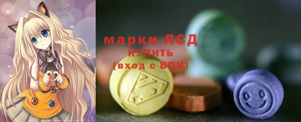 хмурый Алексин