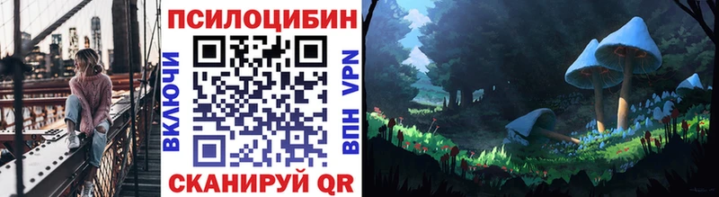 Галлюциногенные грибы Psilocybine cubensis  Осташков 
